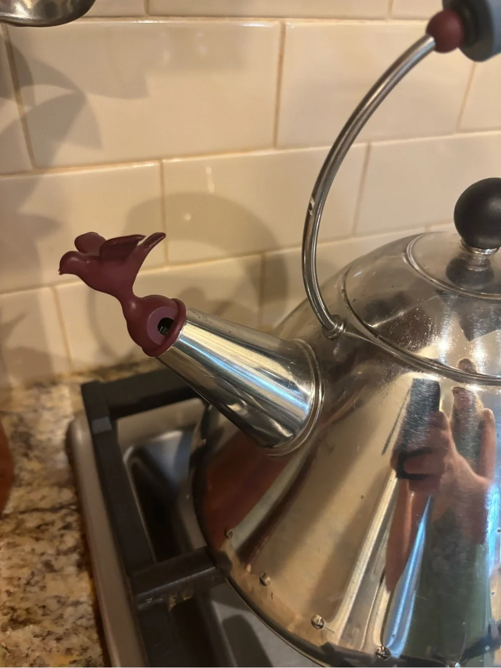 Alesia Blue-Handled Stainless Steel Whistling Tea Kettle